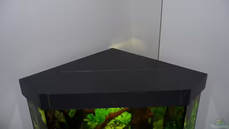 Aquariendeckel Schreinerarbeit 01 von mihä (22)