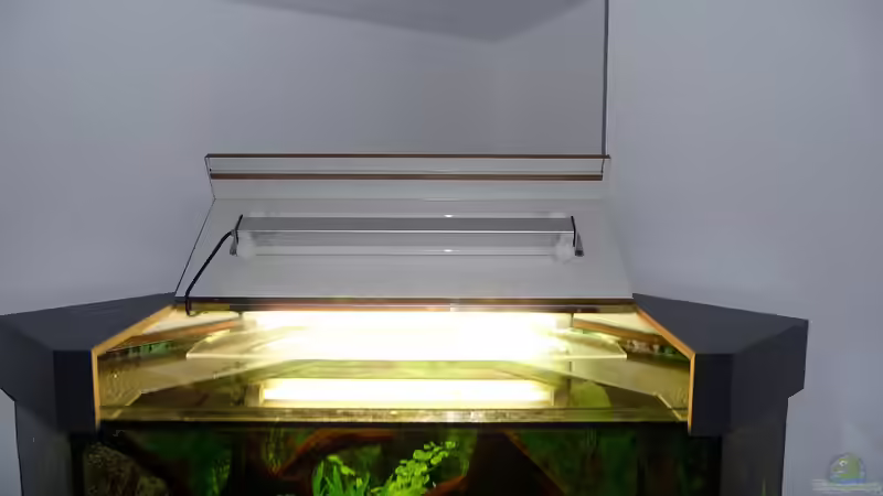 Aquariendeckel Schreinerarbeit 02 von mihä (23)