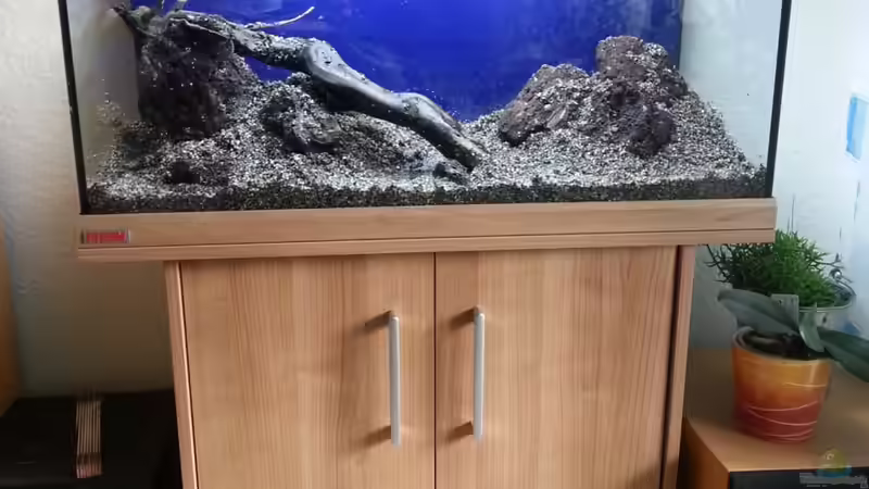 Aquarieneinrichtung: Wurzeln und Steine  von Melanie (9)