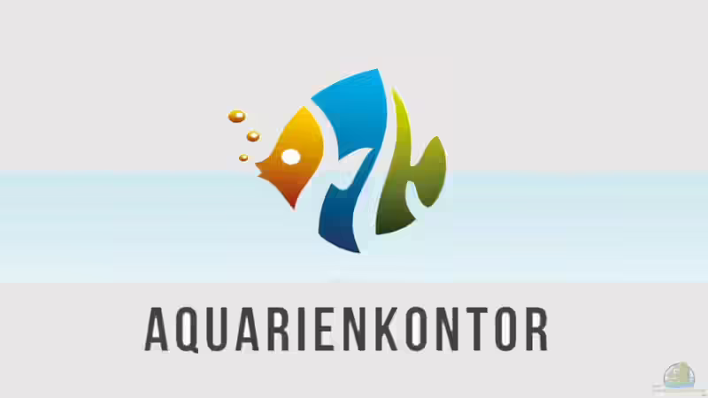 Aquarienkontor stellt sich im Video vor