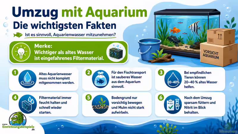 Aquarienwasser beim Umzug mitnehmen: Sinnvoll oder nicht?