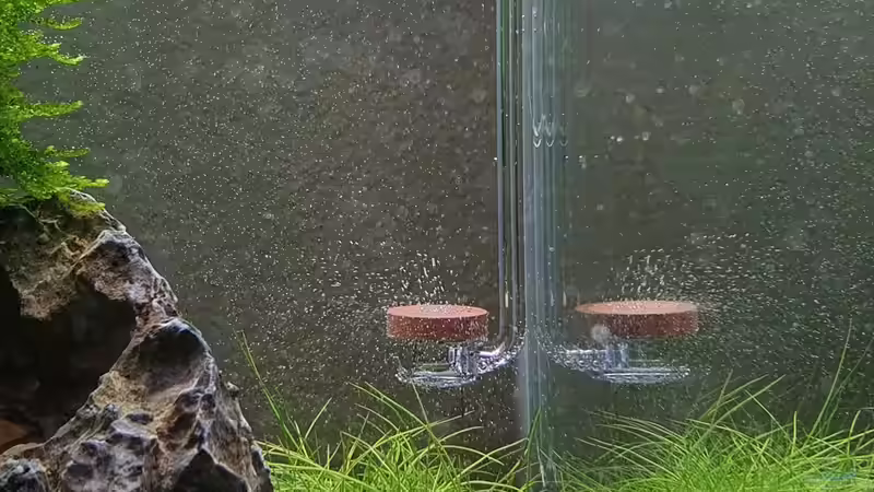 AQUARIO - Neo CO2 Diffusor - Extend Special Type -Medium von Marco B. (31)