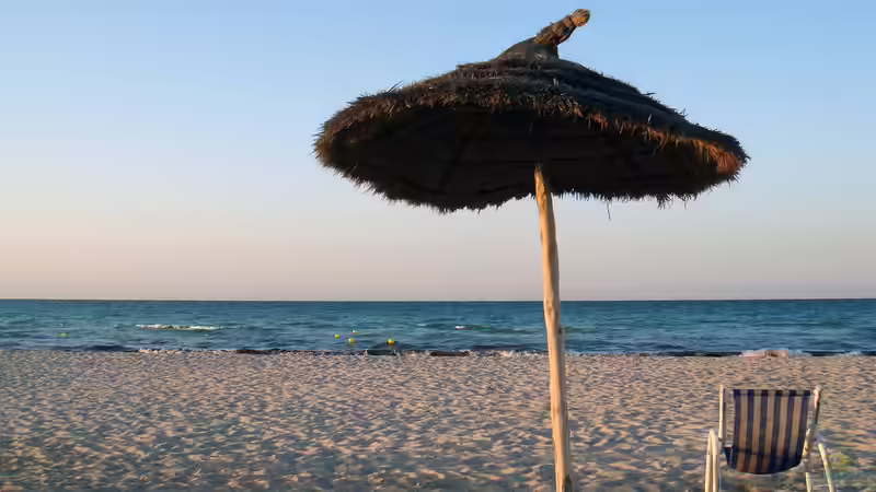 Aquaristik im Sommer