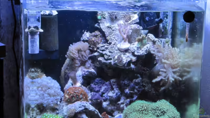 Aquarium --Littel Ozean-- von Haens84 (1)