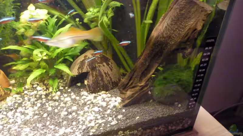 Aquarium ++Neu++ von 19maxi96 (3)