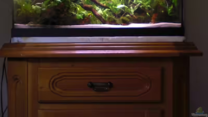 Aquarium + Schrank von Dominik (8)