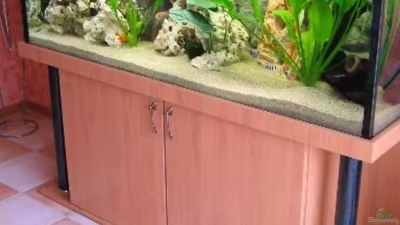 Aquarium. Bild wie es zuerst aussah von Robert Malcharczik (6)