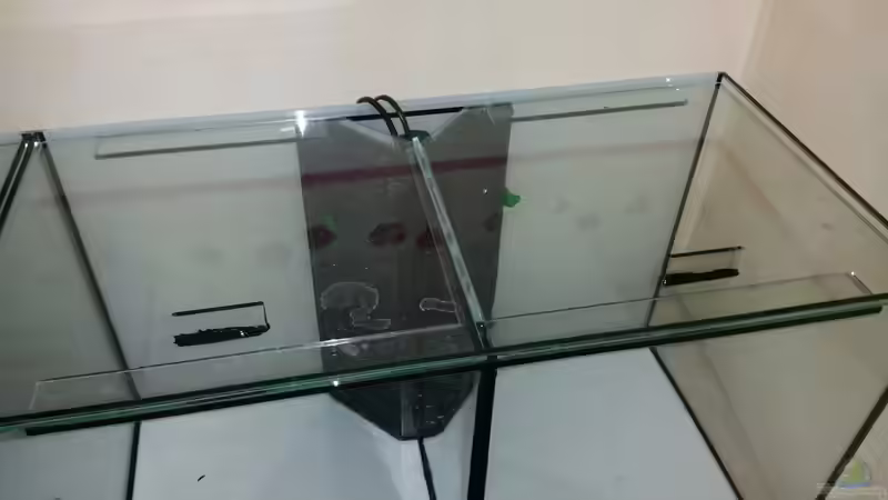 Aquarium  mit trennscheibe u. HMF von Lucky3310 (17)