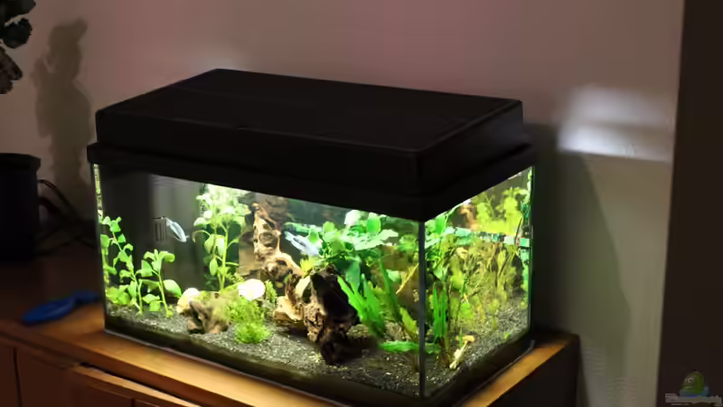 Aquarium  von Marc Leu (5)