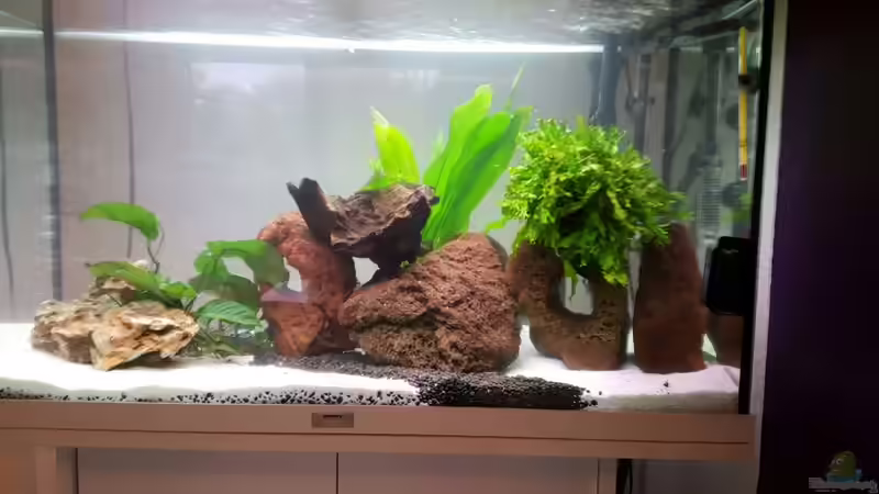 Aquarium  von Nordlicht Ka (2)