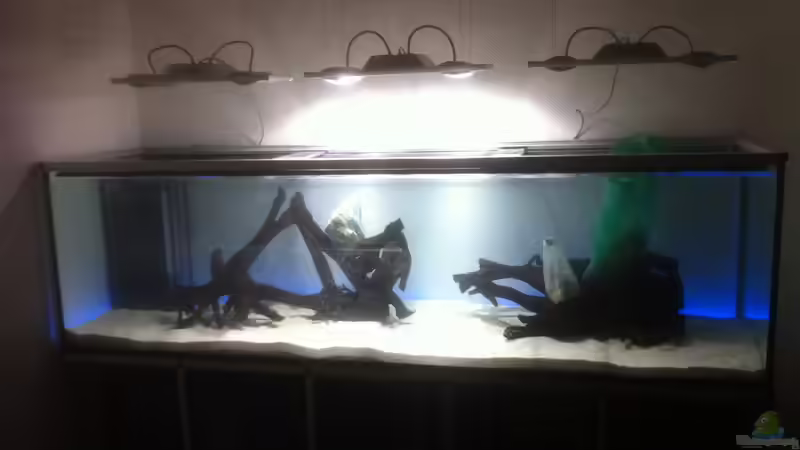 Aquarium 1 von stollo (7)