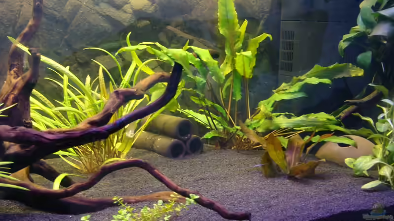 Aquarium 120er - abgebaut von Christian Heitmann (3)