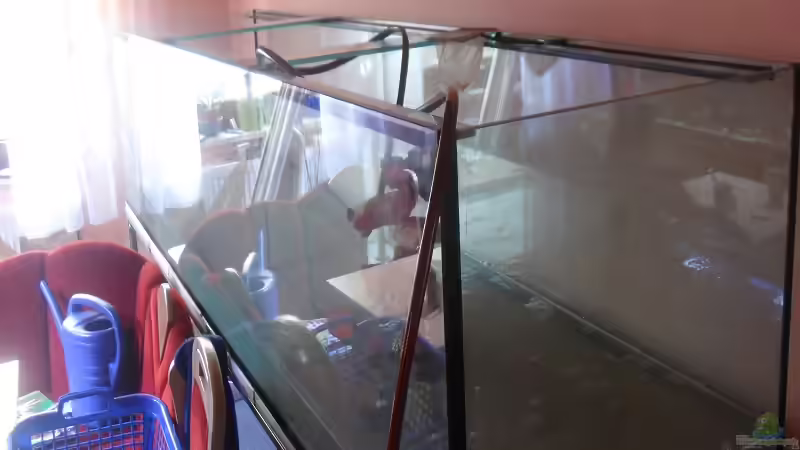 Aquarium 1260 Liter Meeresaquarium von Michael Schulze (7)