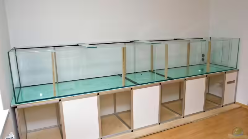 Aquarium 1600 Liter Erdfresserbecken (abgebaut) von Rene Dietzel (2)