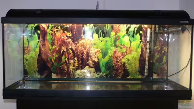 Aquarium 160L von Lexterpower (2)