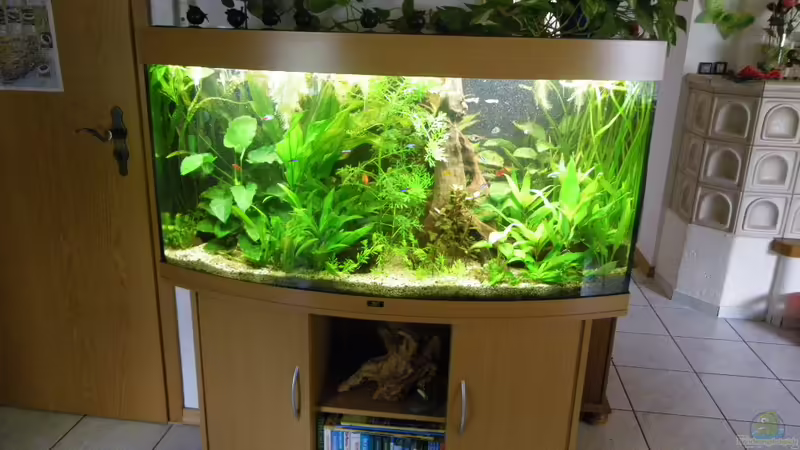 Aquarium 17.8.10 von Bazzi (43)