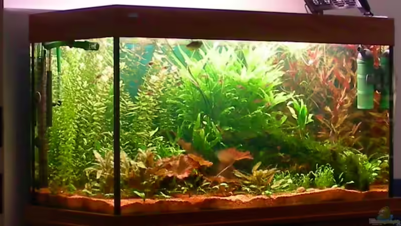 Aquarium (18.06.07) vor der Komplett-Umgestaltung von Marvin Severin (3)