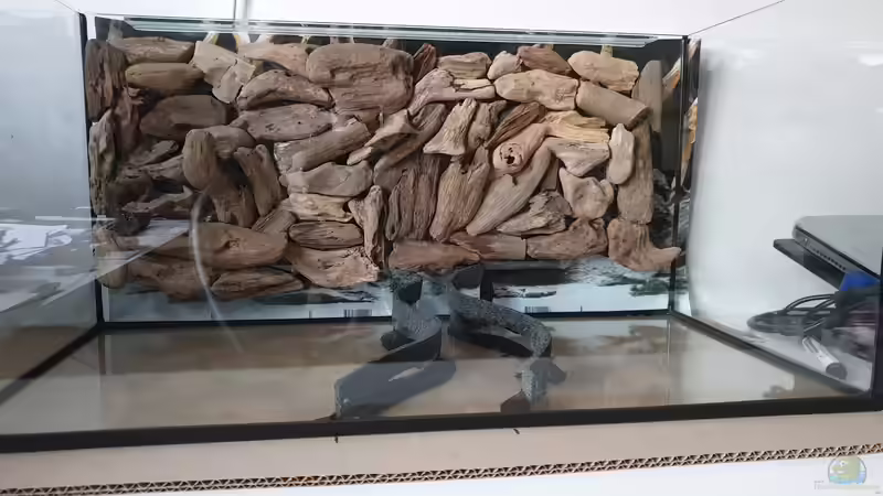 Aquarium 1st Scape von Björn Wanjelik (3)