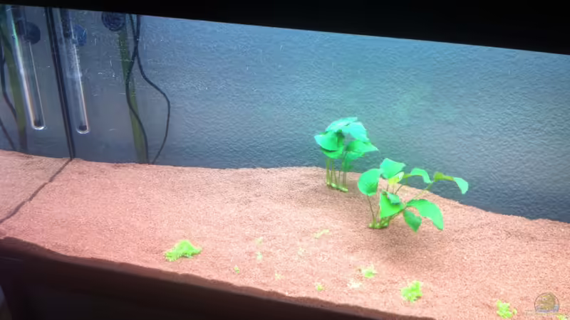 Aquarium 2 von Hotliner90 (4)