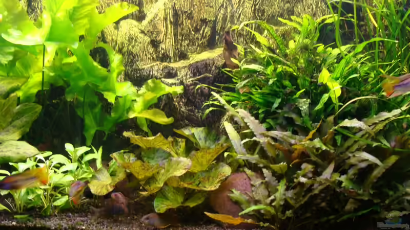 Aquarium 200er (abgebaut) von Christian Heitmann (2)