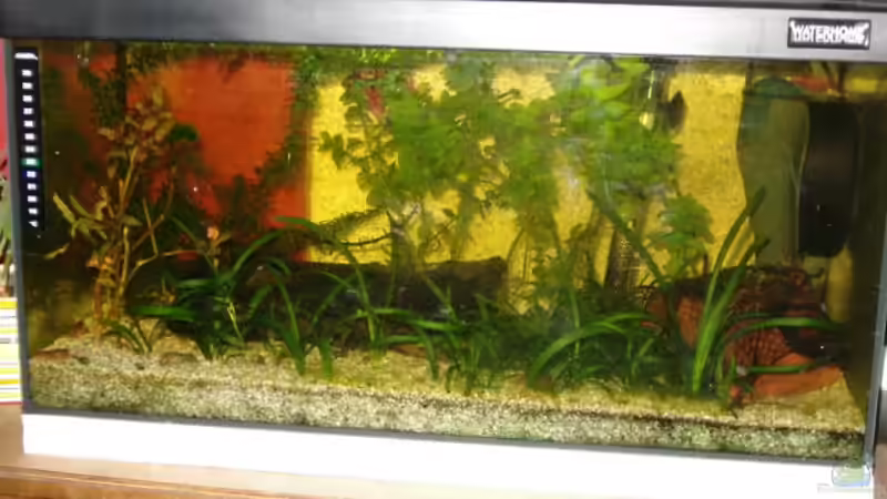 Aquarium 22.09.08 von Jörg Kaminski (3)