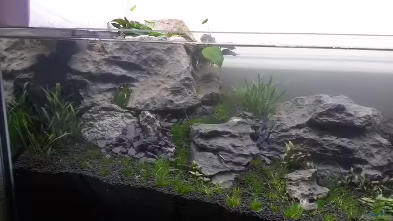 Aquarium 2nd floor von Dreadnought (14)