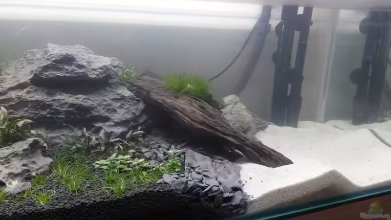 Aquarium 2nd floor von Dreadnought (15)