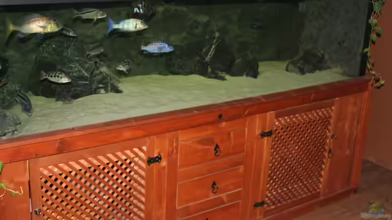 Aquarium 3-2-1-meins von g-dopt (2)