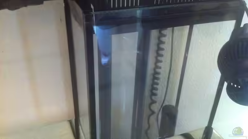 Aquarium 300L44 von Patrick Fisch (2)