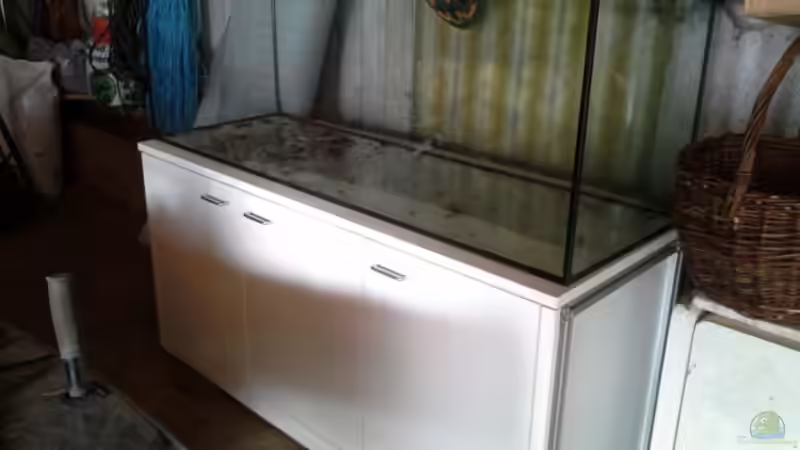 Aquarium 450 l Wurzelbiotop von Markaroni (3)