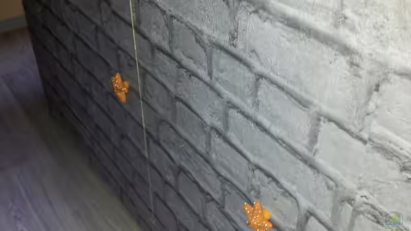 Aquarium 450l Meerwasser von Maik (10)