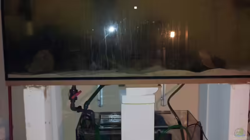 Aquarium 450l Meerwasser von Maik (2)