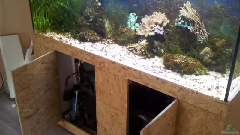 Aquarium 450l Meerwasser von Maik (5)