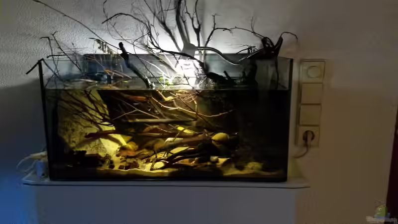 Aquarium 54 l Wurzelbiotop von Markaroni (3)