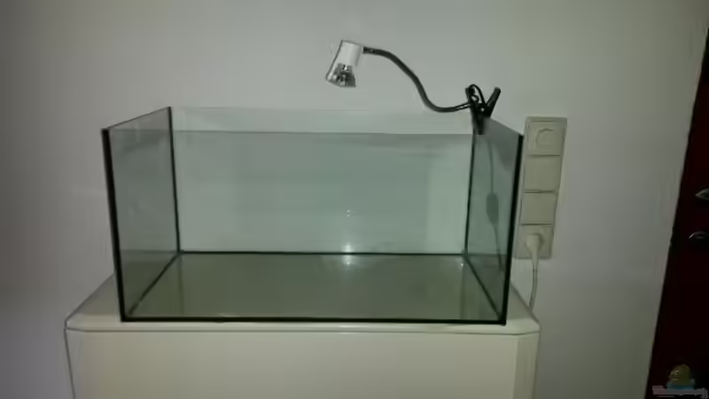 Aquarium 54 l Wurzelbiotop von Markaroni (4)