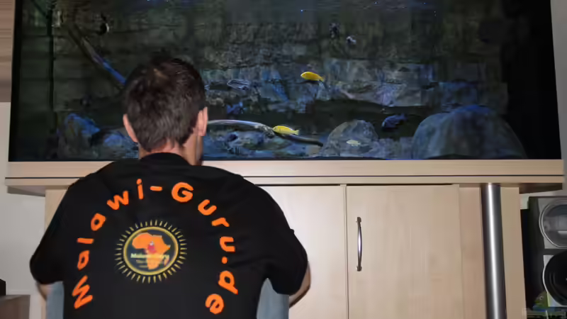 Aquarium 575 Liter Malawibecken von Sebastian O. (8)