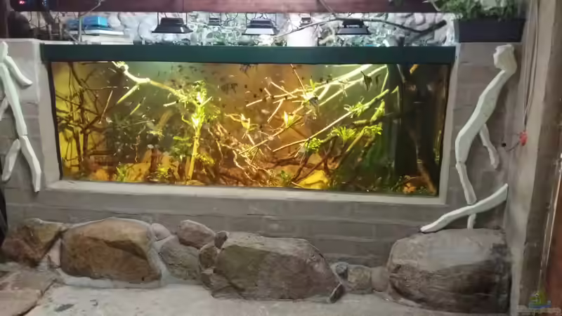 Aquarium 8.000L von Kurt Osterhoff (19)