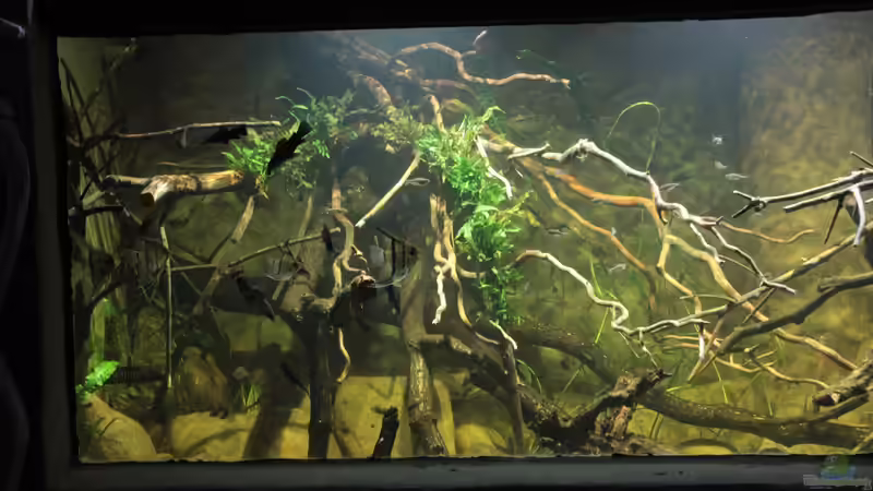 Aquarium 8.000L von Kurt Osterhoff (2)