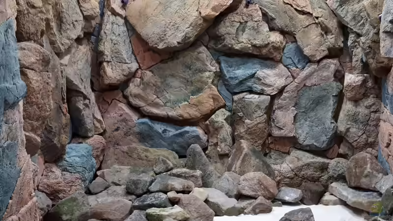 Aquarium 8m^3 TANGANJIKA BIOTOP von 8 CBM (2)