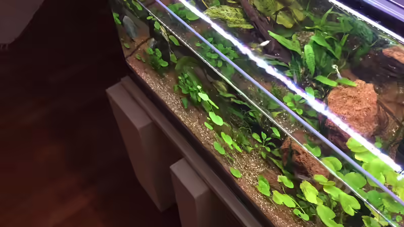 Aquarium 96er von Jockelberryfin (7)