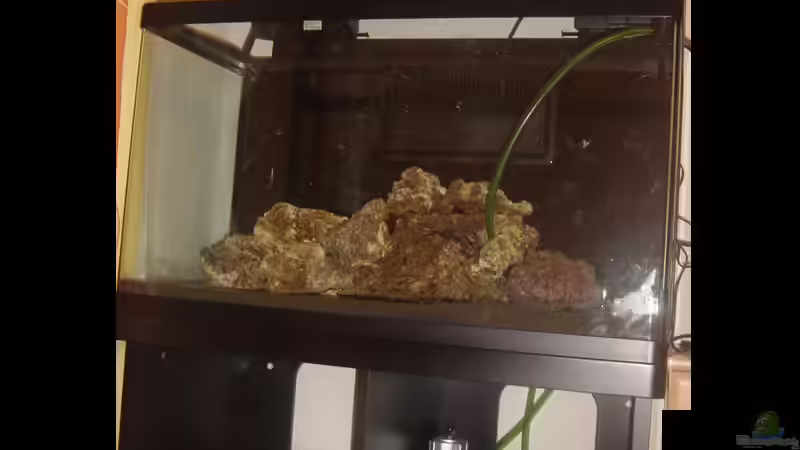 Aquarium A Piece of Reef Obsolete von The_Lizardking (2)