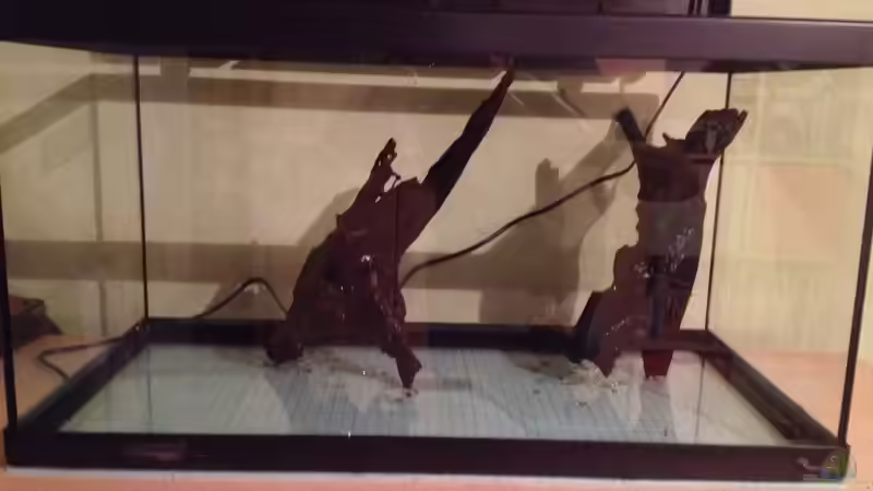 Aquarium A small one for the little one (aufgelöst) von der Steirer (15)