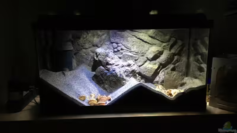 Aquarium a small one for the little one part II (aufgelöst) von der Steirer (3)