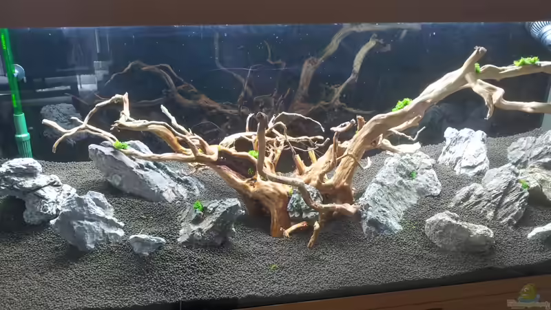 Aquarium a touch of nature von Panamericana85 (3)