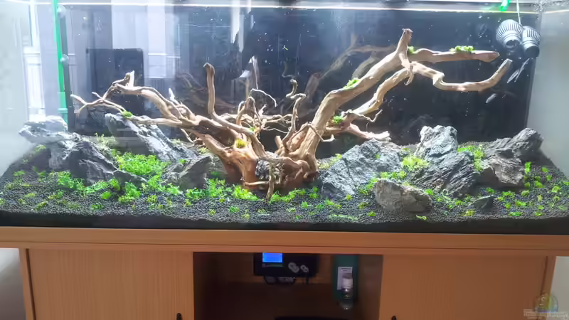 Aquarium a touch of nature von Panamericana85 (4)