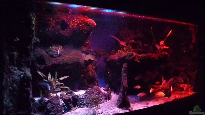 Aquarium Abenteuerland von Couro (14)