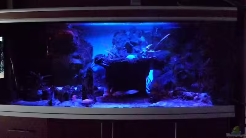 Aquarium Abenteuerland von Couro (15)