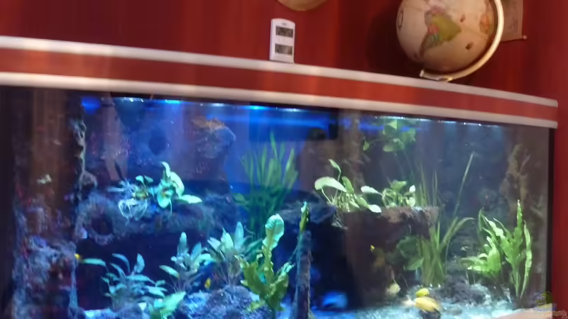 Aquarium Abenteuerland von Couro (4)