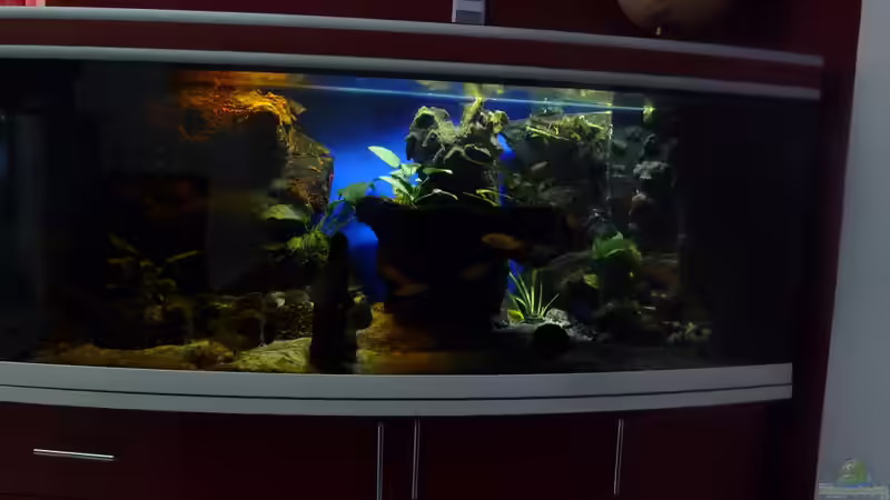 Aquarium Abenteuerland von Couro (9)