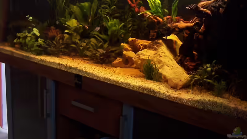 Aquarium Acuario de Tina von TinaAqua (9)